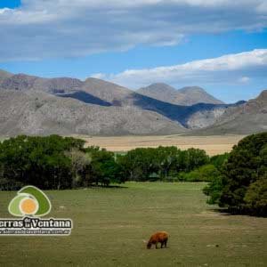 Estancia Mahuida Co