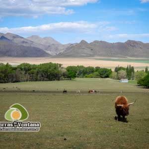 Estancia Mahuida Co